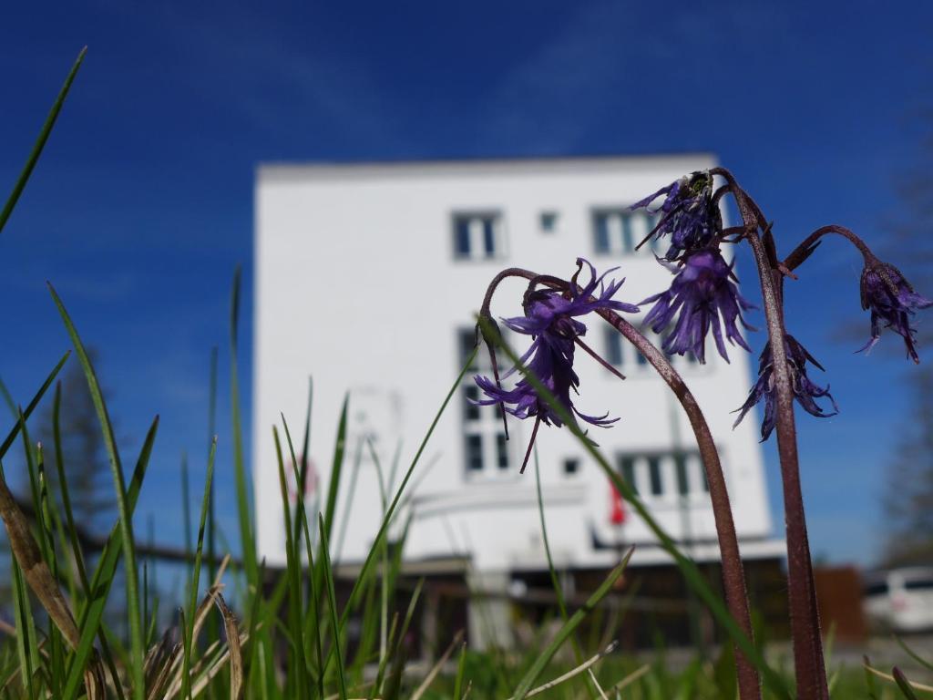 Vila Emma Strbske Pleso Exterior photo